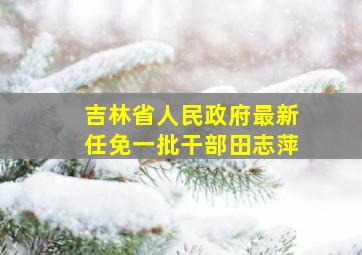 吉林省人民政府最新任免一批干部田志萍