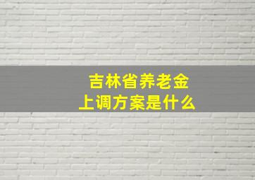 吉林省养老金上调方案是什么