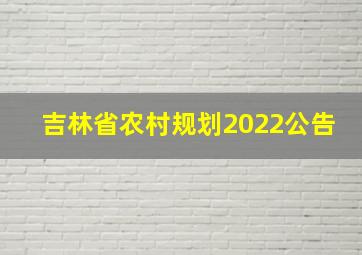 吉林省农村规划2022公告