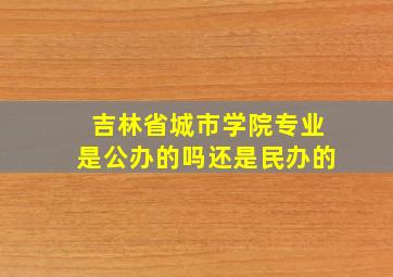 吉林省城市学院专业是公办的吗还是民办的