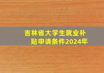 吉林省大学生就业补贴申请条件2024年