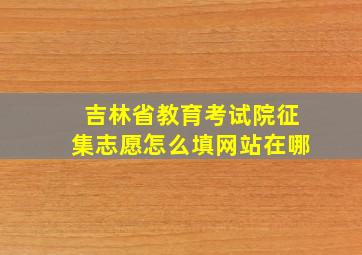 吉林省教育考试院征集志愿怎么填网站在哪