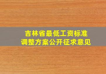 吉林省最低工资标准调整方案公开征求意见