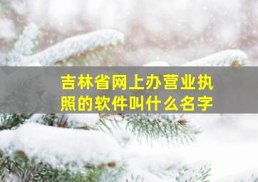 吉林省网上办营业执照的软件叫什么名字