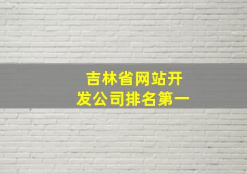 吉林省网站开发公司排名第一