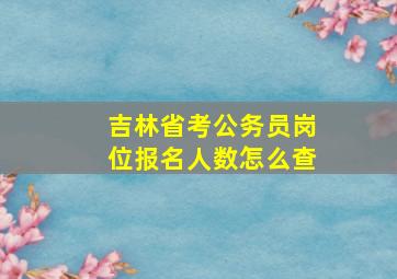 吉林省考公务员岗位报名人数怎么查