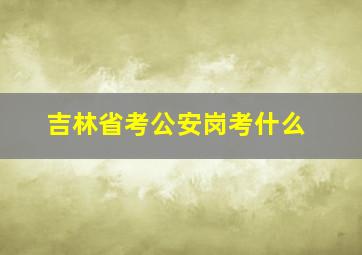 吉林省考公安岗考什么