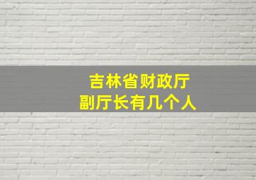 吉林省财政厅副厅长有几个人