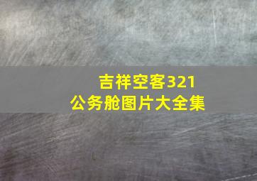 吉祥空客321公务舱图片大全集