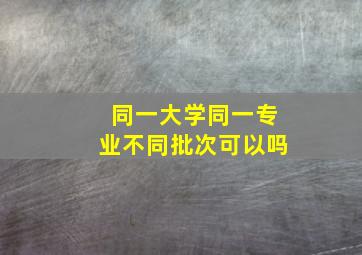 同一大学同一专业不同批次可以吗