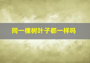 同一棵树叶子都一样吗