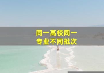 同一高校同一专业不同批次