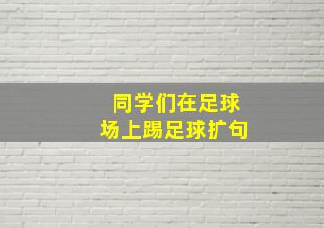 同学们在足球场上踢足球扩句