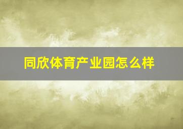 同欣体育产业园怎么样