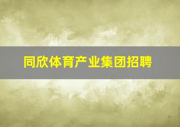 同欣体育产业集团招聘