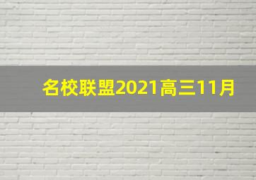 名校联盟2021高三11月