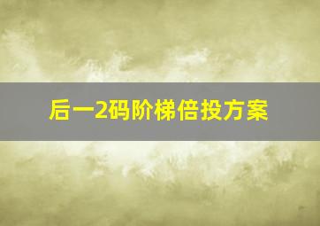 后一2码阶梯倍投方案