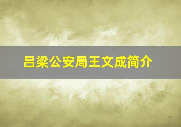 吕梁公安局王文成简介