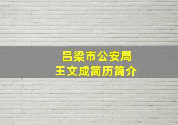 吕梁市公安局王文成简历简介