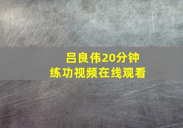 吕良伟20分钟练功视频在线观看