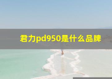 君力pd950是什么品牌