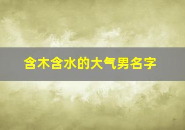 含木含水的大气男名字