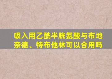 吸入用乙酰半胱氨酸与布地奈德、特布他林可以合用吗