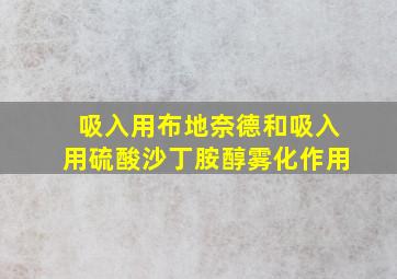 吸入用布地奈德和吸入用硫酸沙丁胺醇雾化作用