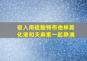 吸入用硫酸特布他林雾化液和天麻素一起静滴