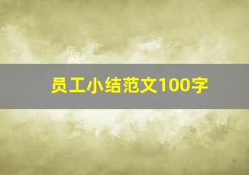 员工小结范文100字