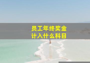 员工年终奖金计入什么科目