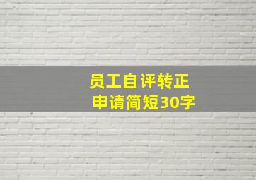 员工自评转正申请简短30字