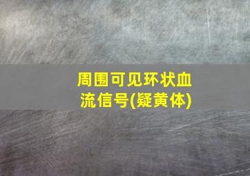 周围可见环状血流信号(疑黄体)