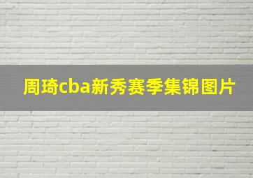 周琦cba新秀赛季集锦图片