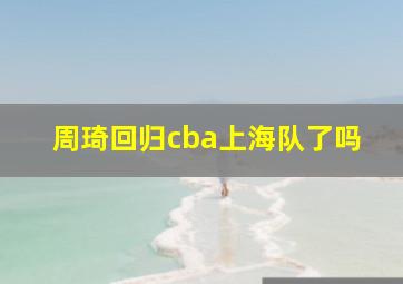 周琦回归cba上海队了吗