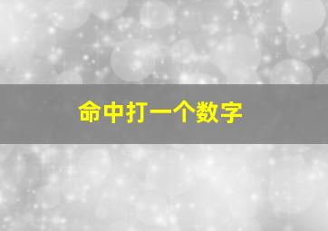 命中打一个数字