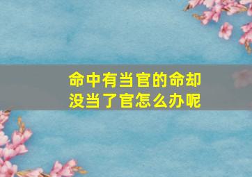 命中有当官的命却没当了官怎么办呢