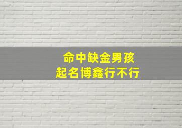 命中缺金男孩起名博鑫行不行