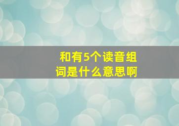 和有5个读音组词是什么意思啊