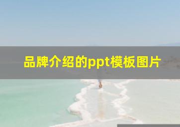 品牌介绍的ppt模板图片