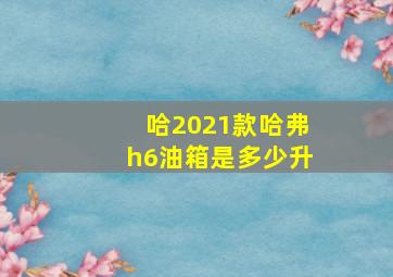 哈2021款哈弗h6油箱是多少升