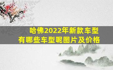 哈佛2022年新款车型有哪些车型呢图片及价格