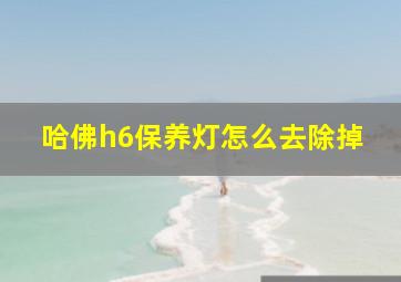 哈佛h6保养灯怎么去除掉