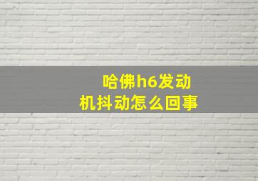 哈佛h6发动机抖动怎么回事