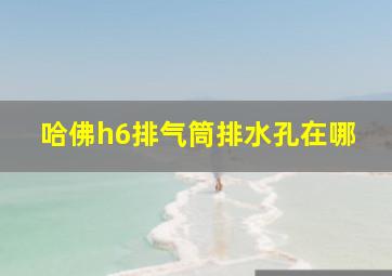 哈佛h6排气筒排水孔在哪