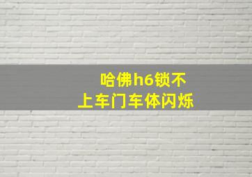 哈佛h6锁不上车门车体闪烁