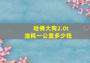 哈佛大狗2.0t油耗一公里多少钱