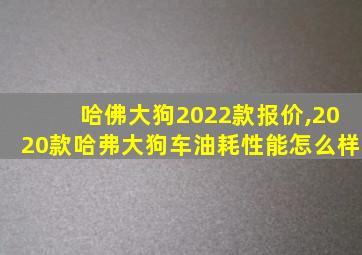 哈佛大狗2022款报价,2020款哈弗大狗车油耗性能怎么样