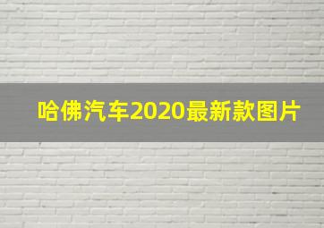 哈佛汽车2020最新款图片