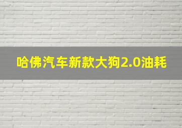 哈佛汽车新款大狗2.0油耗